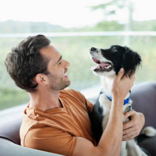 Man with small dog on couch