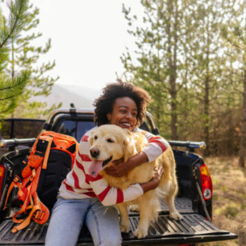 Woman and golden retriever on the back of a truck